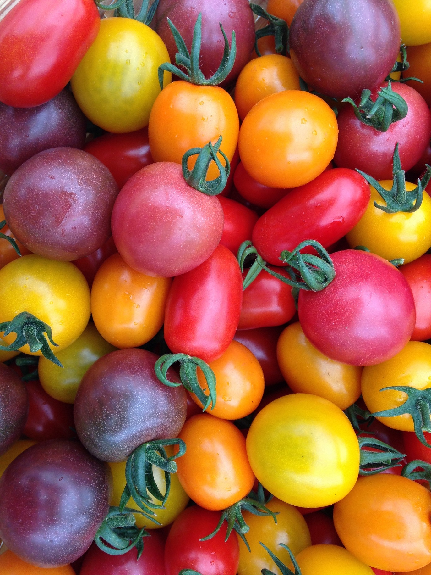 石川農園の写真1