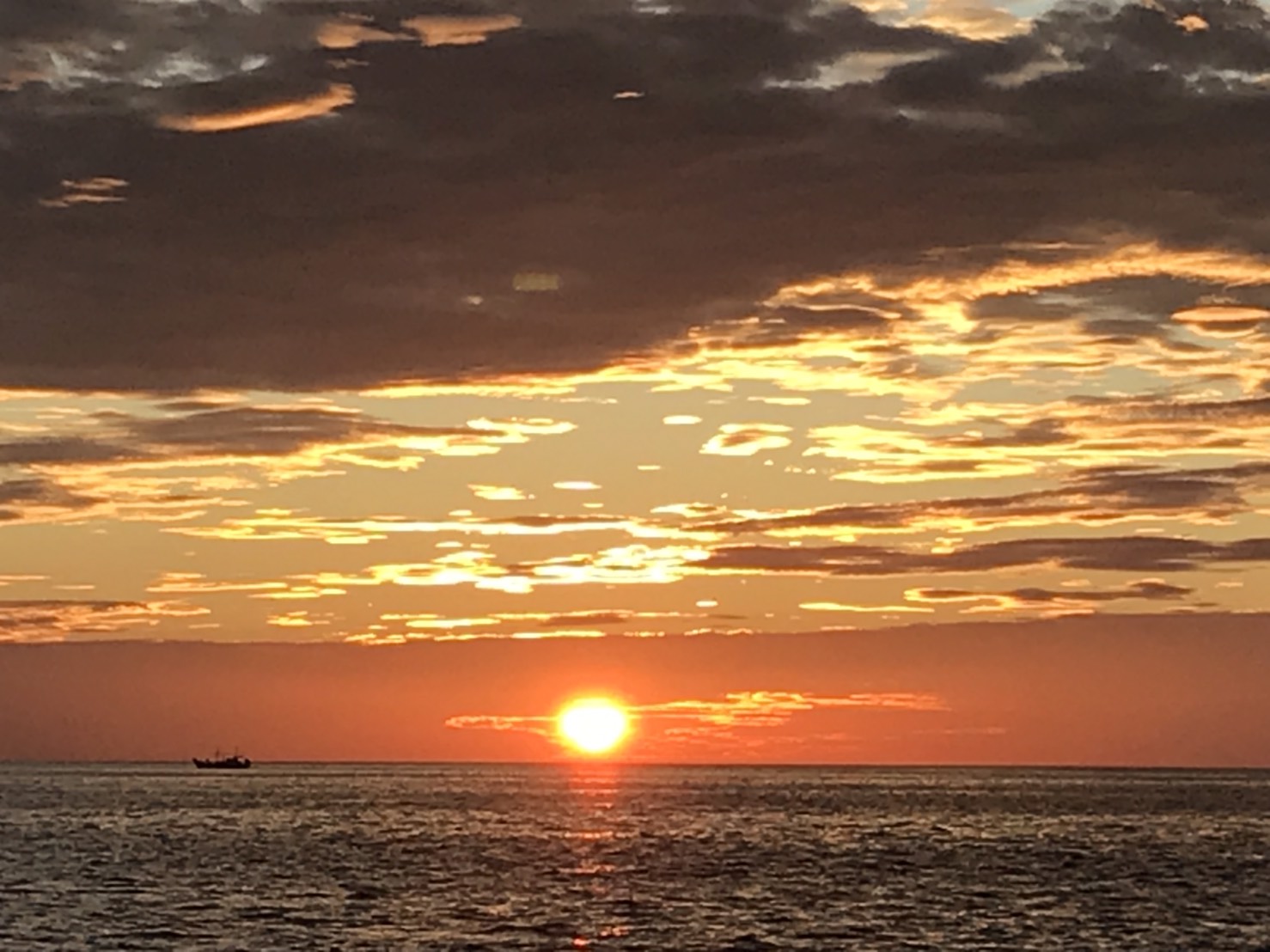 山陰境港 遊漁船 第十 朝日丸の写真1