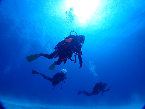 ダイビングショップ トリトンの写真1