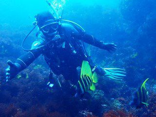 ダイビングスクール<スクーバ・ジャック>大阪店の写真1