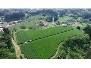 株式会社扇原茶園の写真1