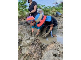 サンキューファームの写真1