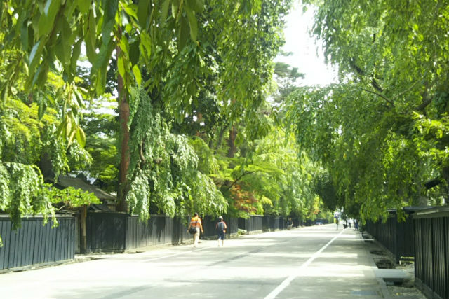 Happiness & Emotionの写真1