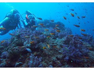 ダイビングショップ BLUEBLUE明石の写真1