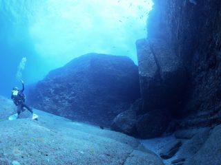 Diving Place Suave KOBEの写真1