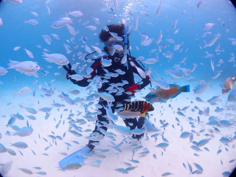 石垣島トータルマリンの写真1