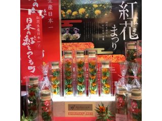 はなせんかの写真1