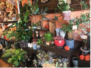 Green&FlowerStudio Li-anの写真1