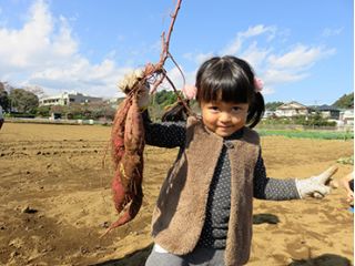 東京地球農園の写真1