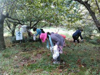 ぎふ里山景観研究所の写真1