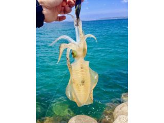 釣太郎(白浜店)の写真1