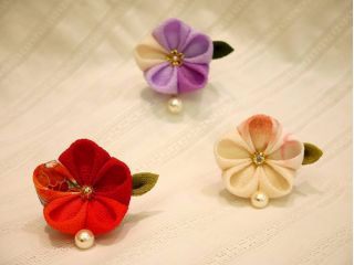 ハナユイの写真1