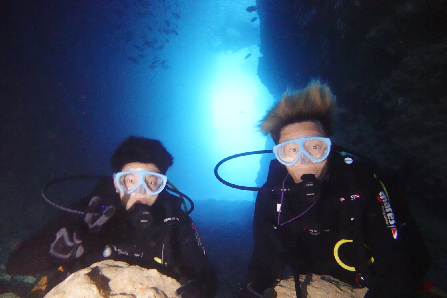 ドラゴンシャークダイビングの写真1