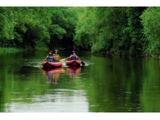 そうや自然学校の写真1