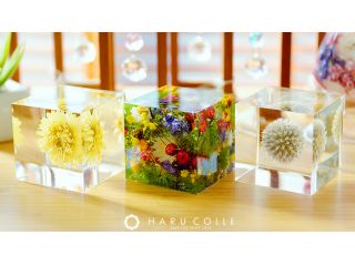 Brillante Rosaの写真1