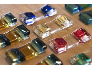 秋葉硝子の写真1