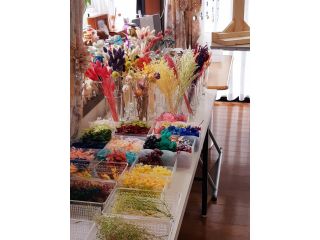 ピンクミュールの写真1