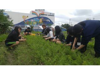 ソルファコミュニティの写真1