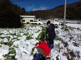 大岡グリーンツーリズム倶楽部の写真1