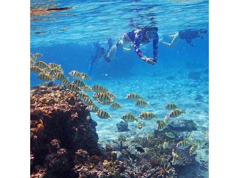 宮古島 マリンガイド 浮人 -うきんちゅ-の写真1