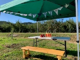 こまち園の写真1