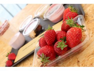 いちごぷらんと-ichigo plant-の写真1