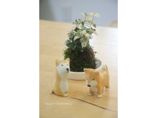 花の駅*つぐみ工房の写真1