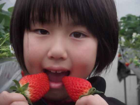 鳥取県 小林農園の写真1