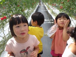 農の郷ファームの写真1