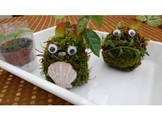 ラディアンスの写真1