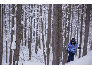 Lodge Ravenの写真1