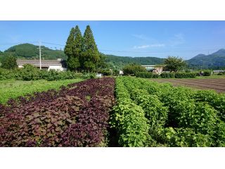 綾・早川農苑の写真1