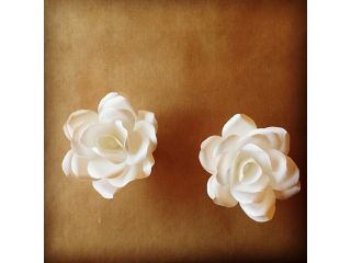 cocoro*kurumuの写真1