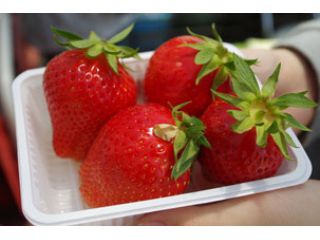 ジュリカファーム淡河農園の写真1