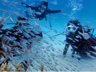 にこにこダイビングの写真1