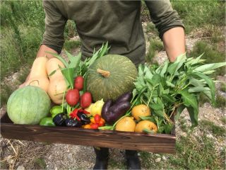 実季楽農園の写真1