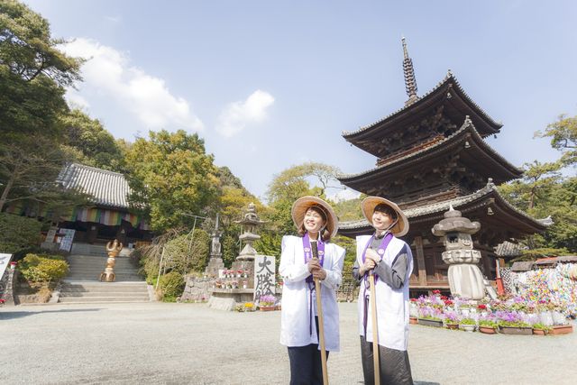 松山はいくの写真1