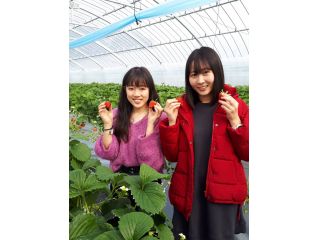 いるべのいちご園の写真1