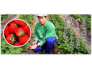 むらいらんどの写真1