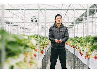 ひなたいちご園の写真1