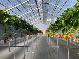 ロコファームHANYUの写真1