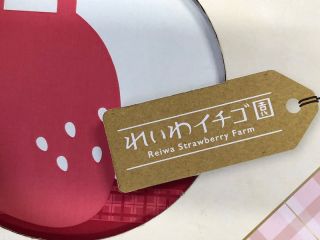 れいわイチゴ園の写真1