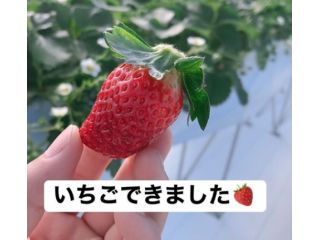 トレジャーふぁーむの写真1