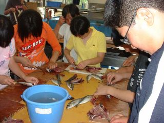 ほうえいの写真1