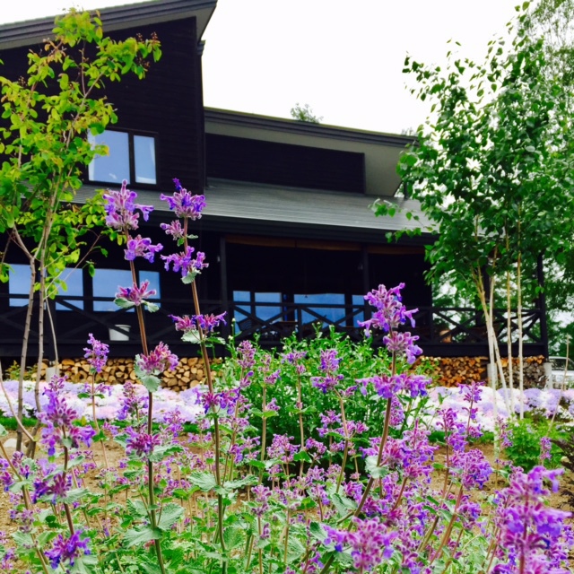 Ritz Garden Nijiの写真1