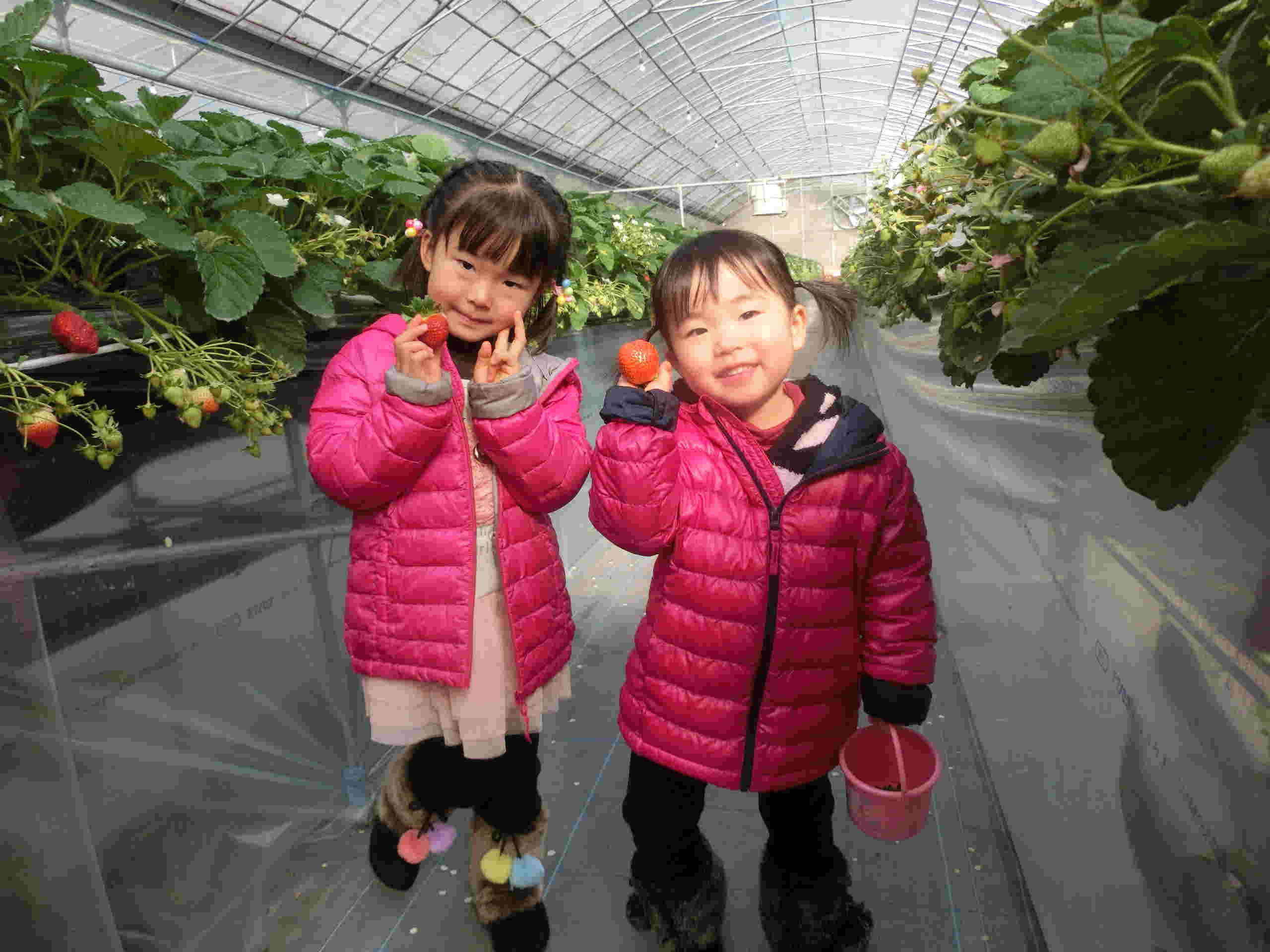 いちご家おおもりの写真1