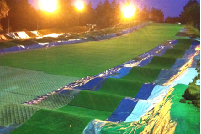 アスパイヤの森の写真1