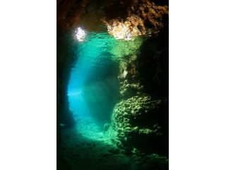 アウリィダイブの写真1