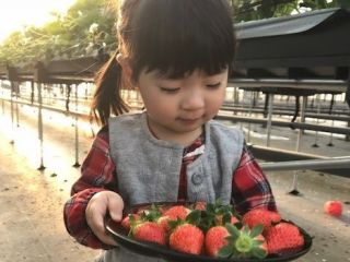 まる甚農園の写真1