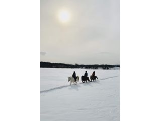 ホーストレッキング北海道の写真1